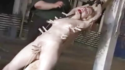 صغيرتي الشباب الحبيب يتمتع الجنس الساخن الدورة معها غرامة الحبيب افلام سكس رومانسيه جدا